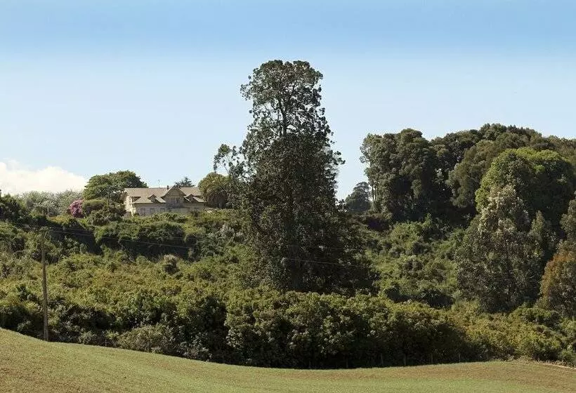 ホテル Playa Maqui Lodge