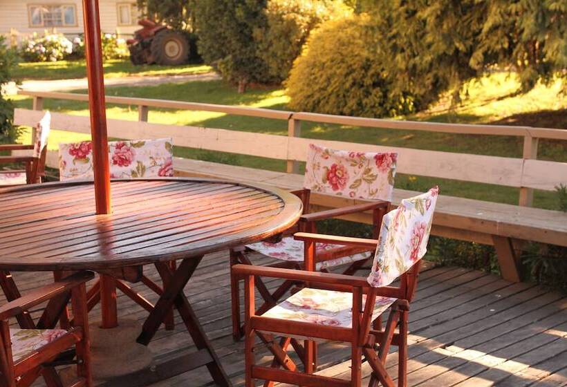 酒店 Playa Maqui Lodge