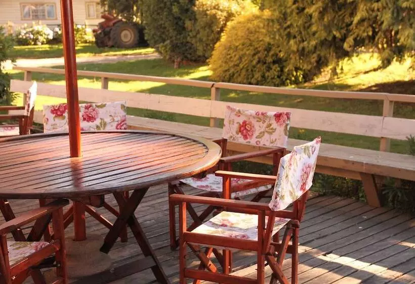 ホテル Playa Maqui Lodge