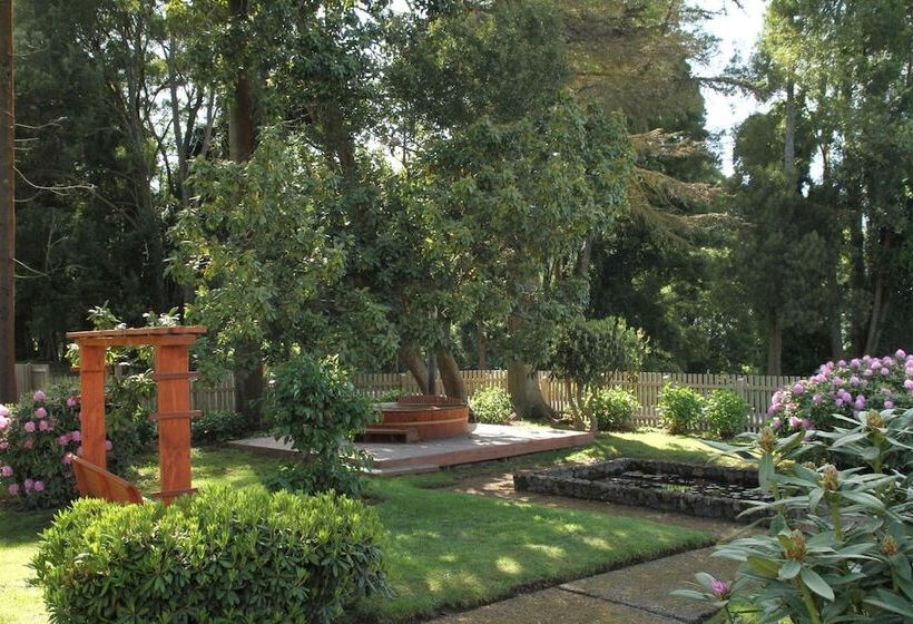 酒店 Playa Maqui Lodge