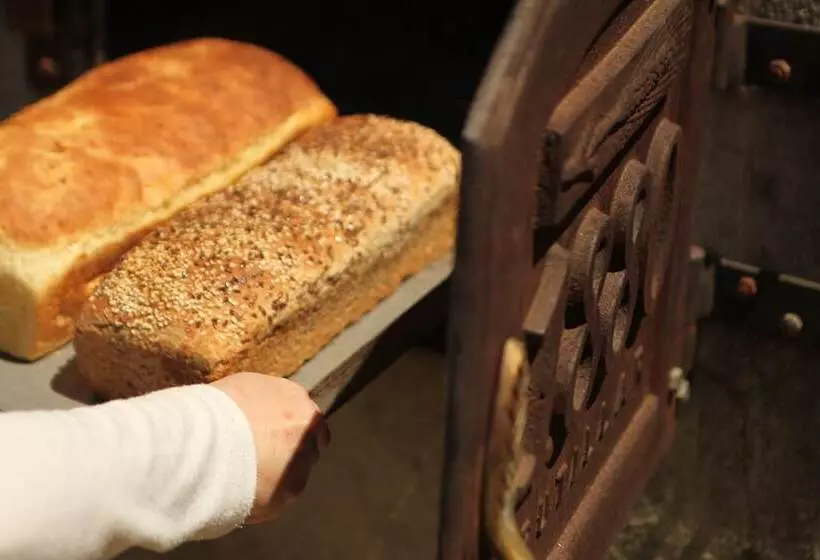 ホテル Playa Maqui Lodge