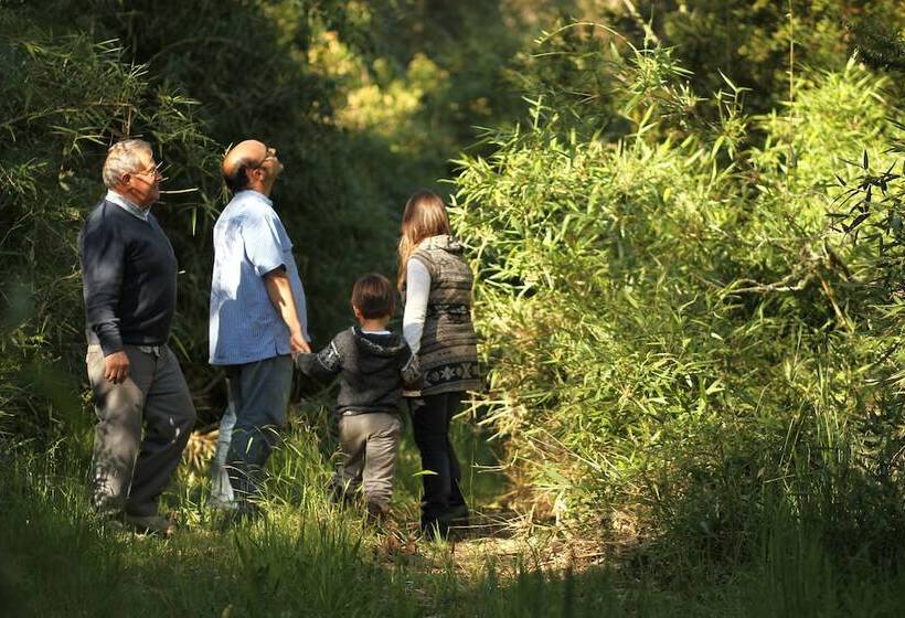 酒店 Playa Maqui Lodge