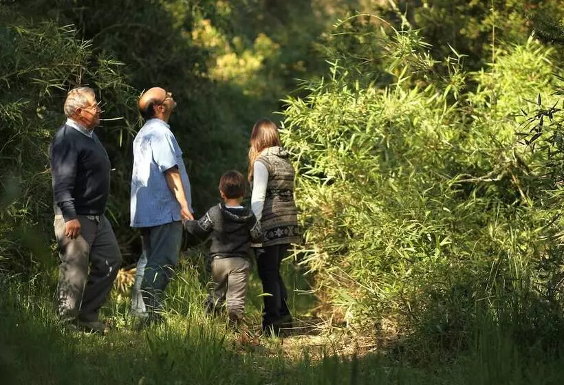 ホテル Playa Maqui Lodge