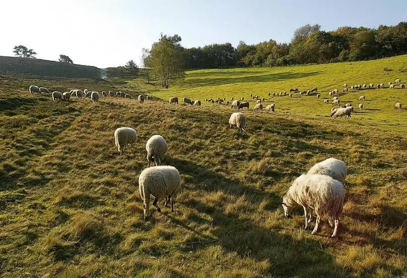 Alpine Hotel Snowworld