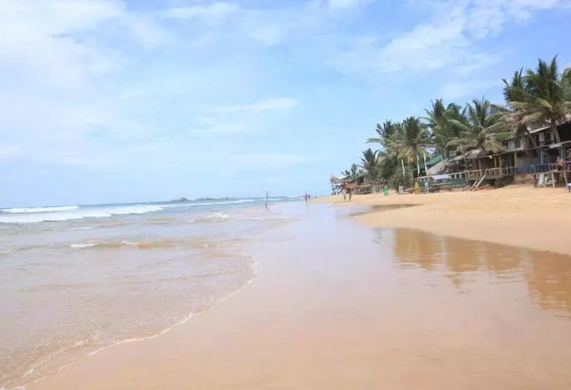 Hotel Citrus Hikkaduwa