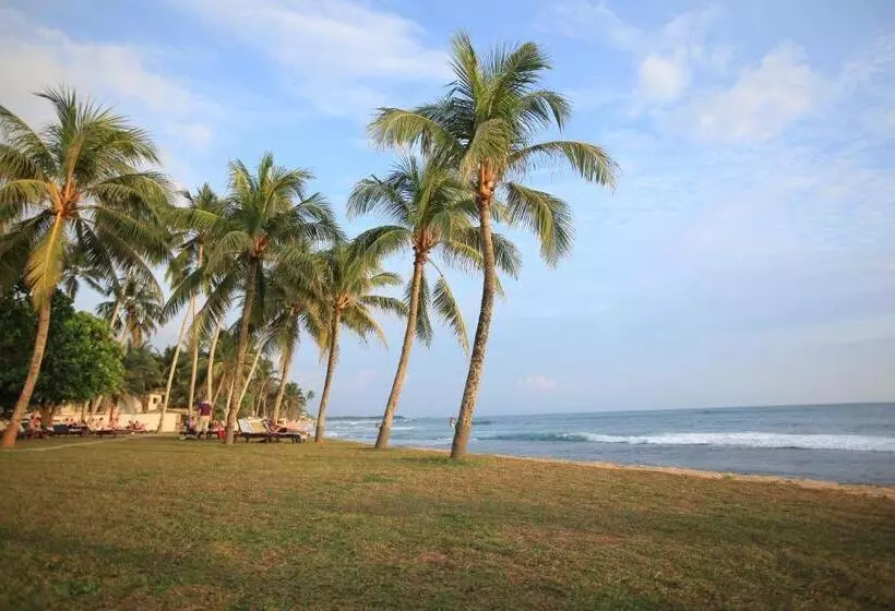 Hotel Citrus Hikkaduwa