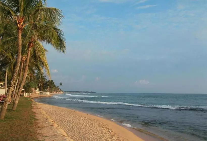 Hotel Citrus Hikkaduwa