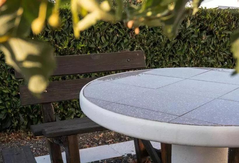 Отель Estrela Da Idanha