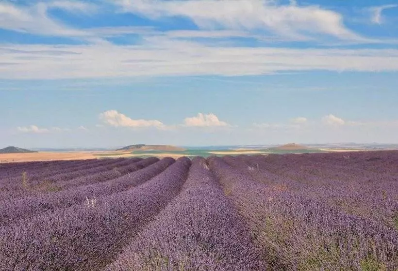 abba Las Viñas Tiedra Hotel Rural