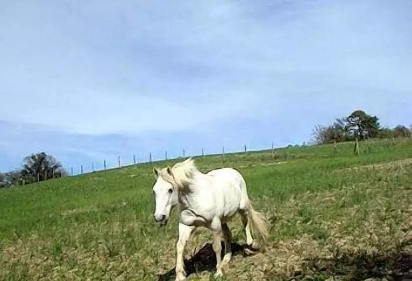 교외 호텔 La Tavola Dei Cavalieri