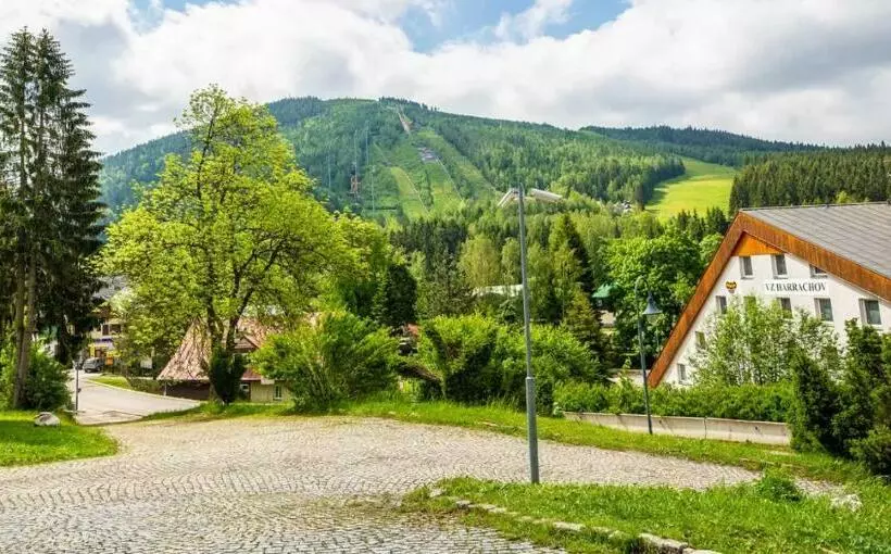 Spa Hotel Bily Horec