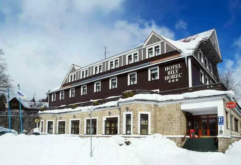 Spa Hotel Bily Horec