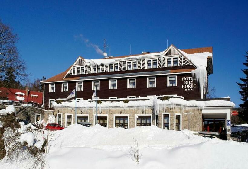 Spa Hotel Bily Horec