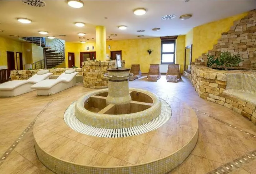 Spa Hotel Bily Horec