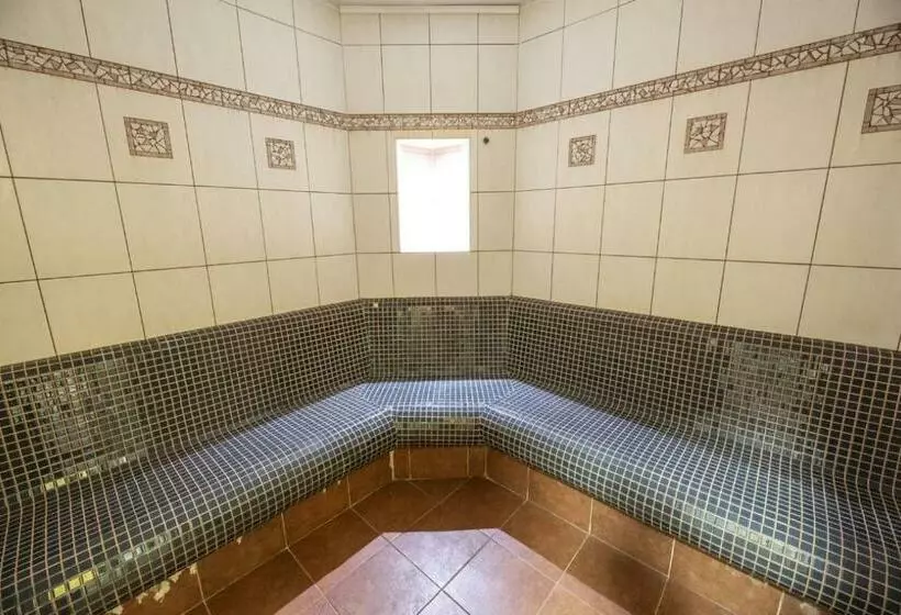 Spa Hotel Bily Horec