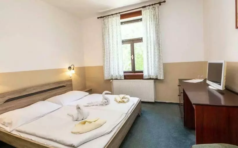 Spa Hotel Bily Horec