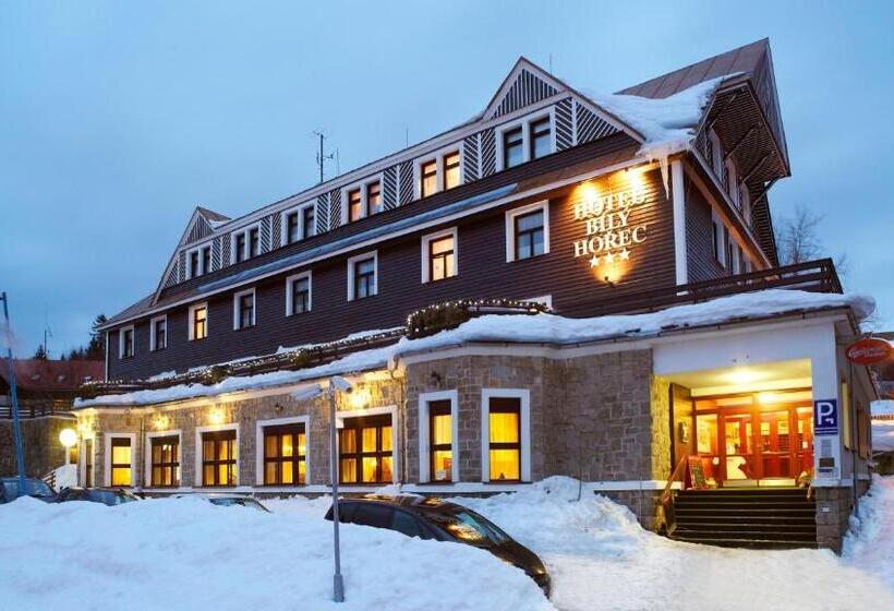 Spa Hotel Bily Horec