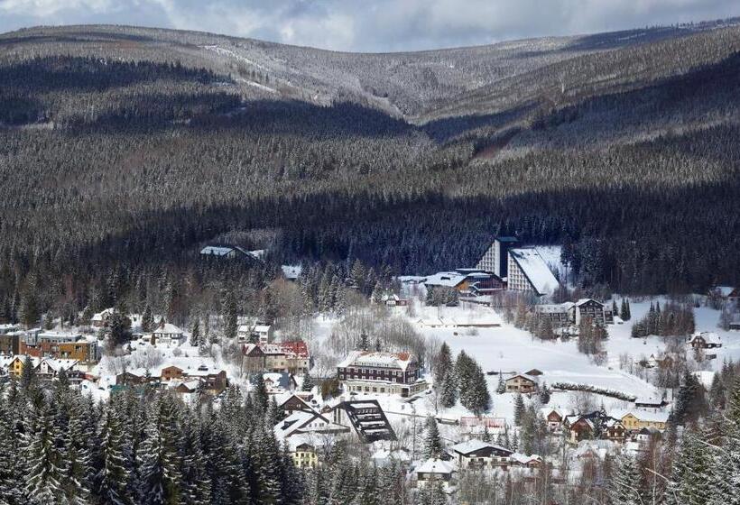 Spa Hotel Bily Horec