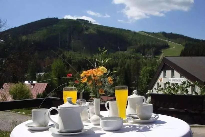 Spa Hotel Bily Horec