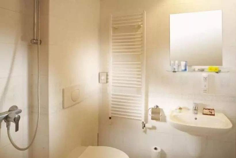 Spa Hotel Bily Horec