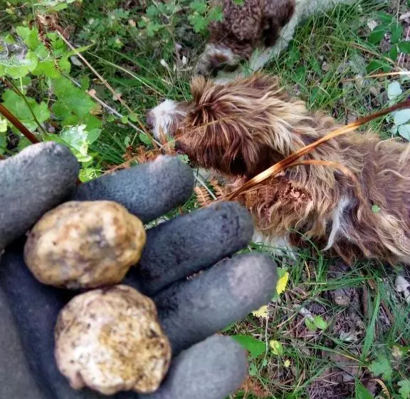 Nido Delle Rondini Hotel Ristorante Pizzeria