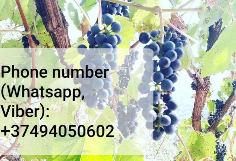 Majatalo Bella Dilijan