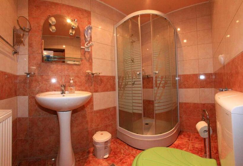 Pensiunea Leia Cârțișoara