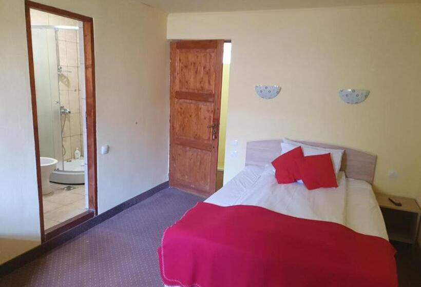 Pensiunea Leia Cârțișoara