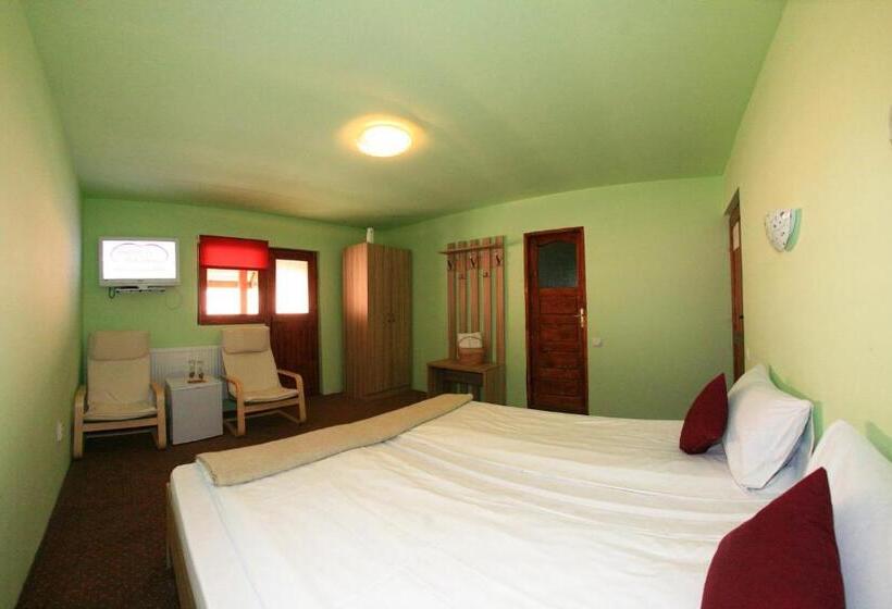 Pensiunea Leia Cârțișoara