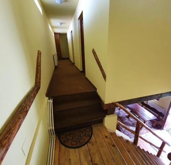 Pensiunea Leia Cârțișoara