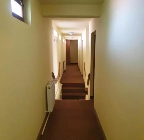Pensiunea Leia Cârțișoara