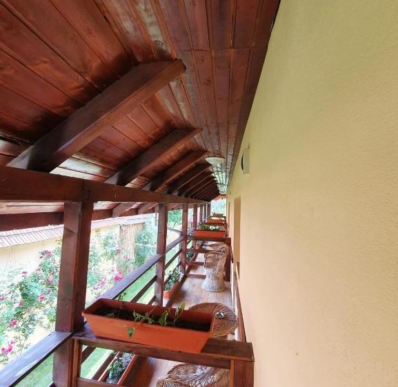 Pensiunea Leia Cârțișoara