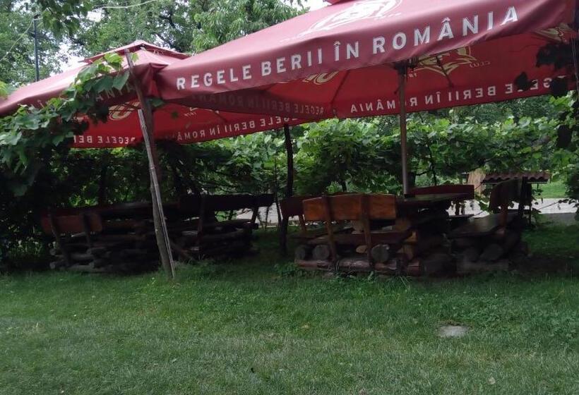 Pensiunea Leia Cârțișoara