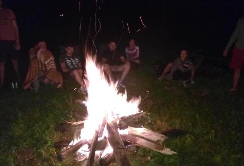 Pensiunea Leia Cârțișoara