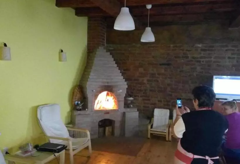 Pensiunea Leia Cârțișoara