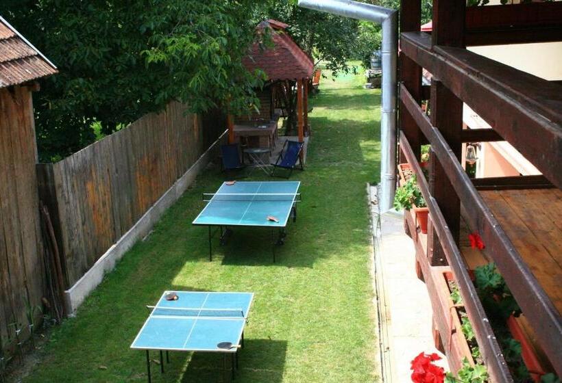 Pensiunea Leia Cârțișoara