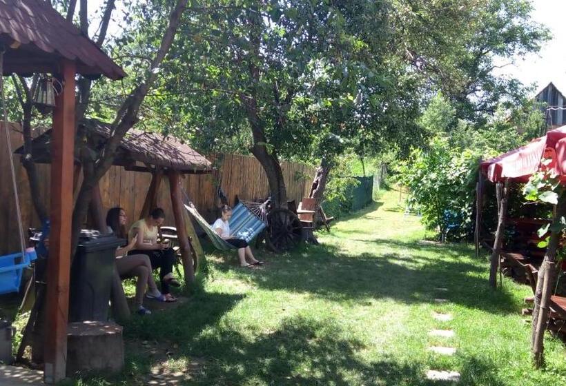 Pensiunea Leia Cârțișoara