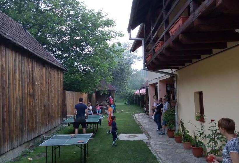 Pensiunea Leia Cârțișoara