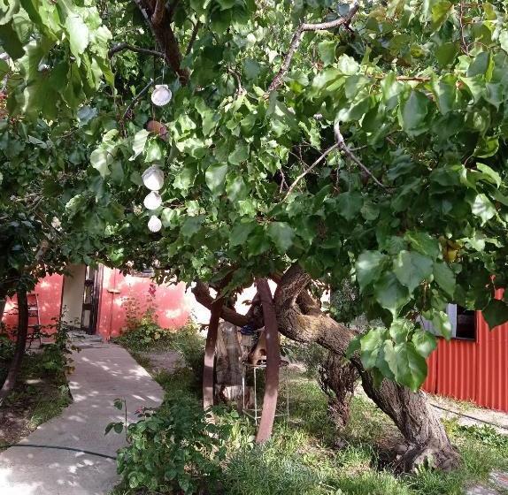 Calafate Viejo Hostel