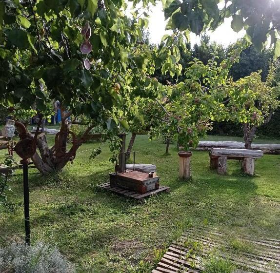 Calafate Viejo Hostel