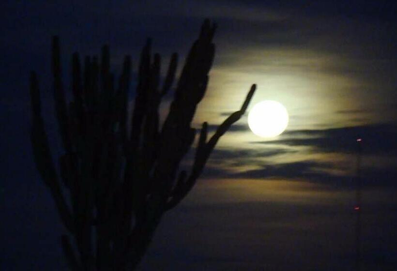 Complejo Colon Village