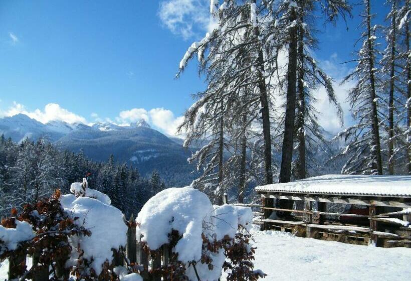 בית מלון כפרי Fattoria Meneguto Agriturismo Degasper Giorgio