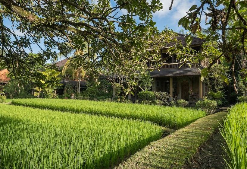 ホテル Ananda Ubud Resort