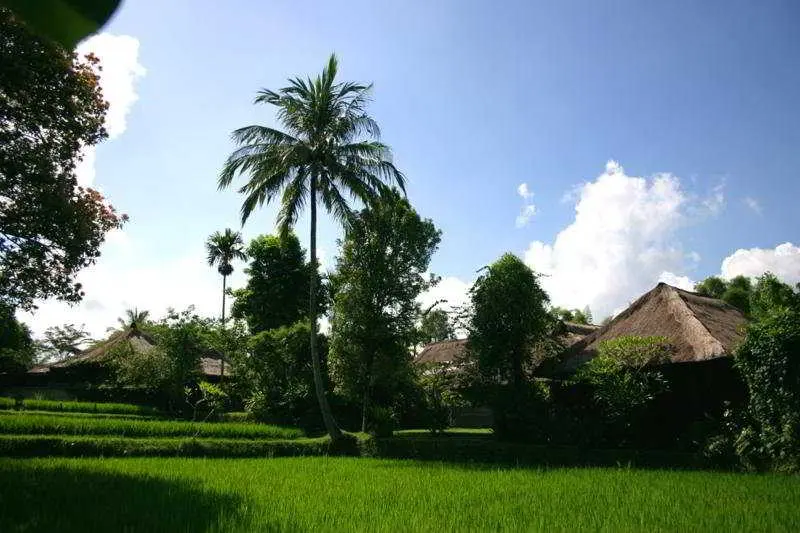 هتل Ananda Ubud Resort