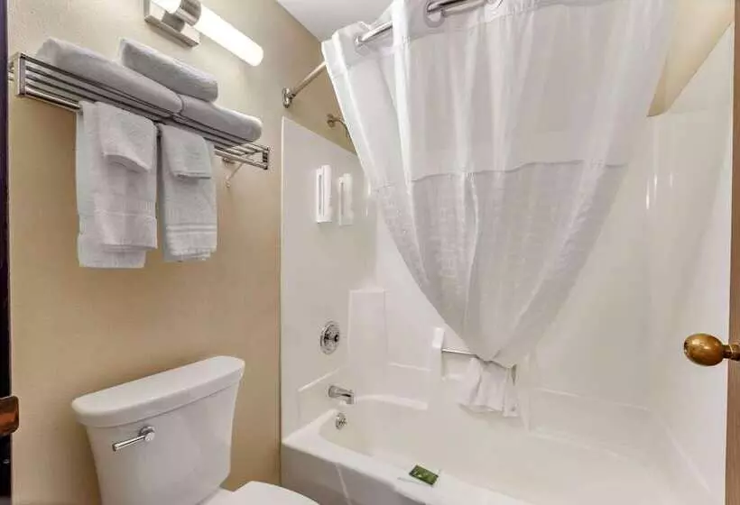 בית מלון כפרי Clarion Pointe Racine Mount Pleasant