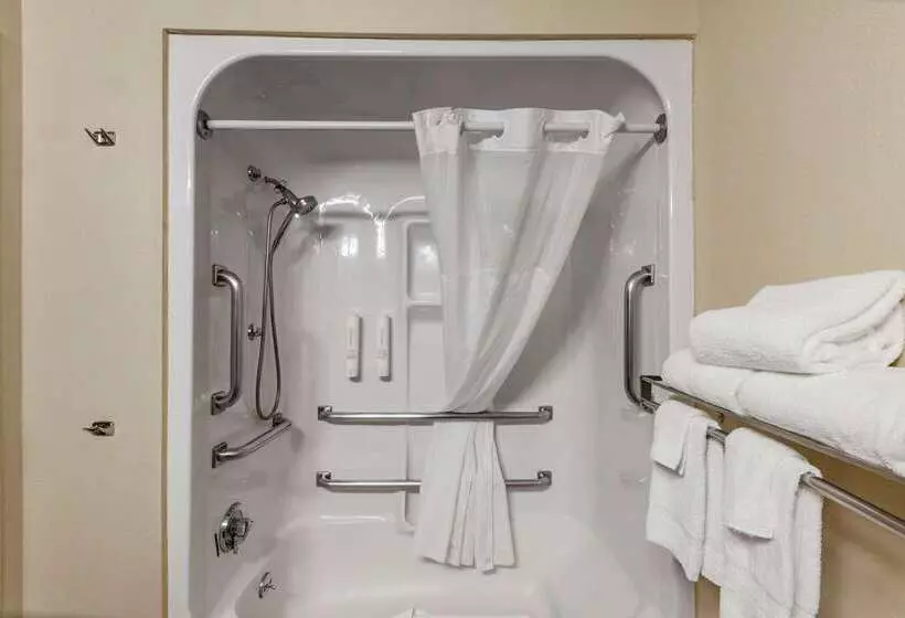 בית מלון כפרי Clarion Pointe Racine Mount Pleasant