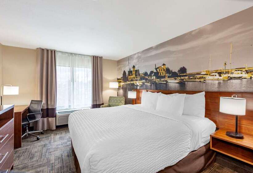 ホテル Clarion Pointe Racine  Mount Pleasant