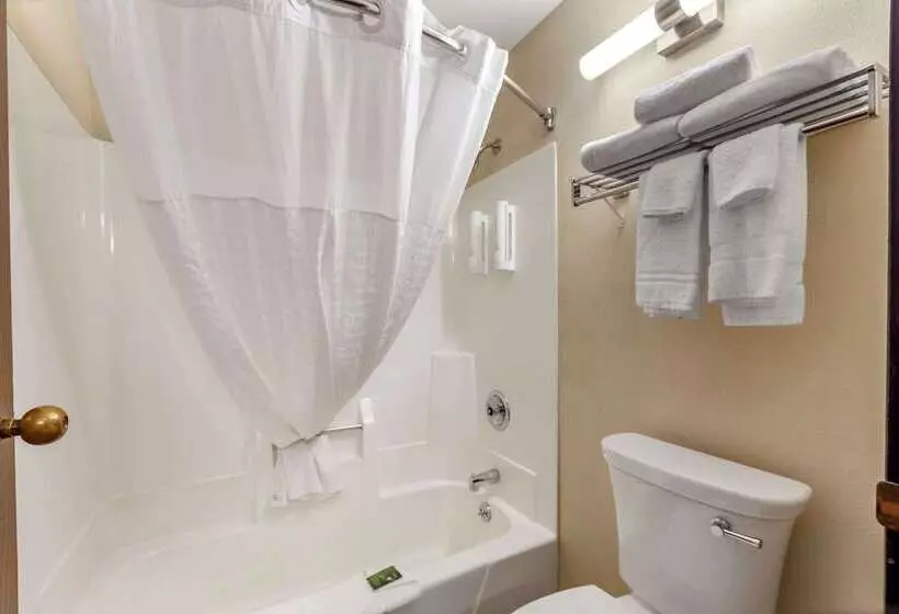 בית מלון כפרי Clarion Pointe Racine Mount Pleasant