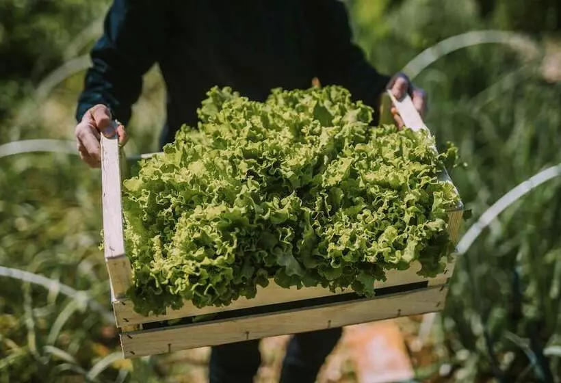 هتل Sport Terme Krka