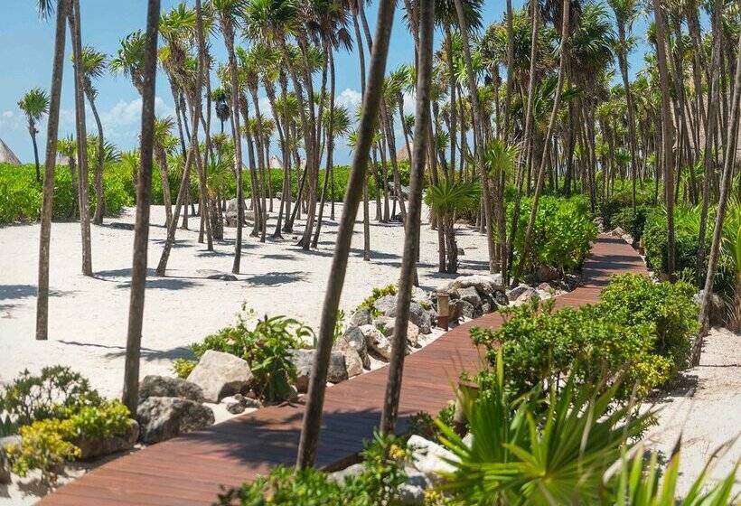 Szálloda Valentin Imperial Riviera Maya All Inclusive   Adults Only